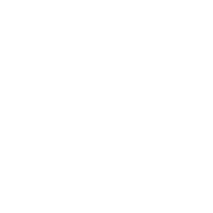 plane-icon